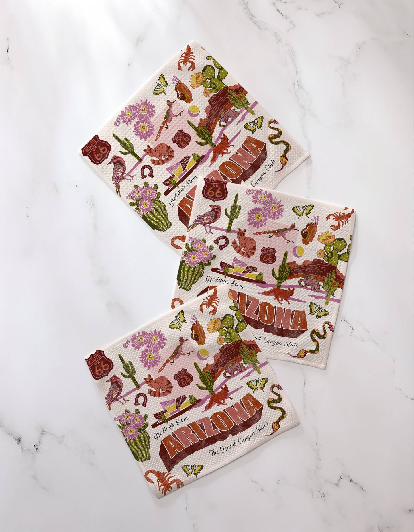 Greetings From Arizona Dishcloth Set