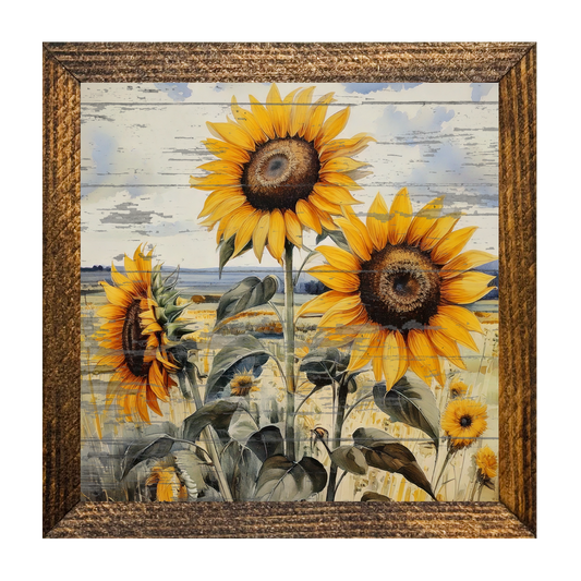 ARTISTIC SERIES TIMBERLAND- PEELED SUNFLOWER CLOSEUP