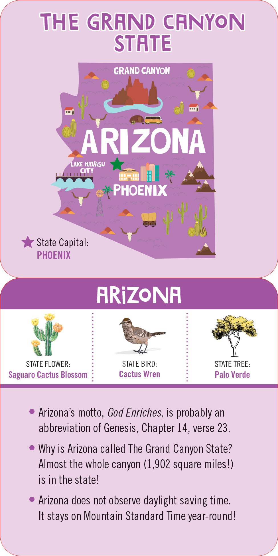 Lunch Box Notes for Kids-USA