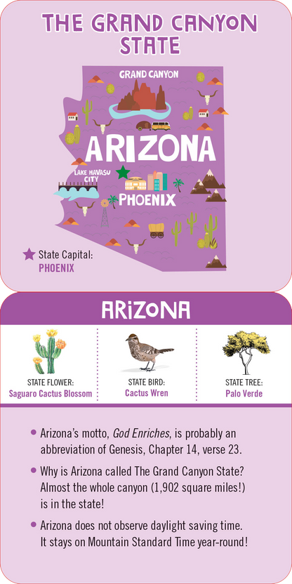 Lunch Box Notes for Kids-USA