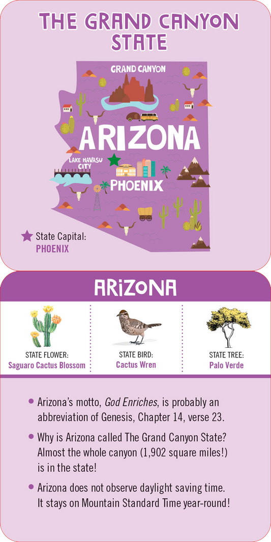 Lunch Box Notes for Kids-USA