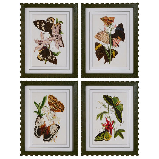 Butterfly Framed Wall Art - Sold Separately