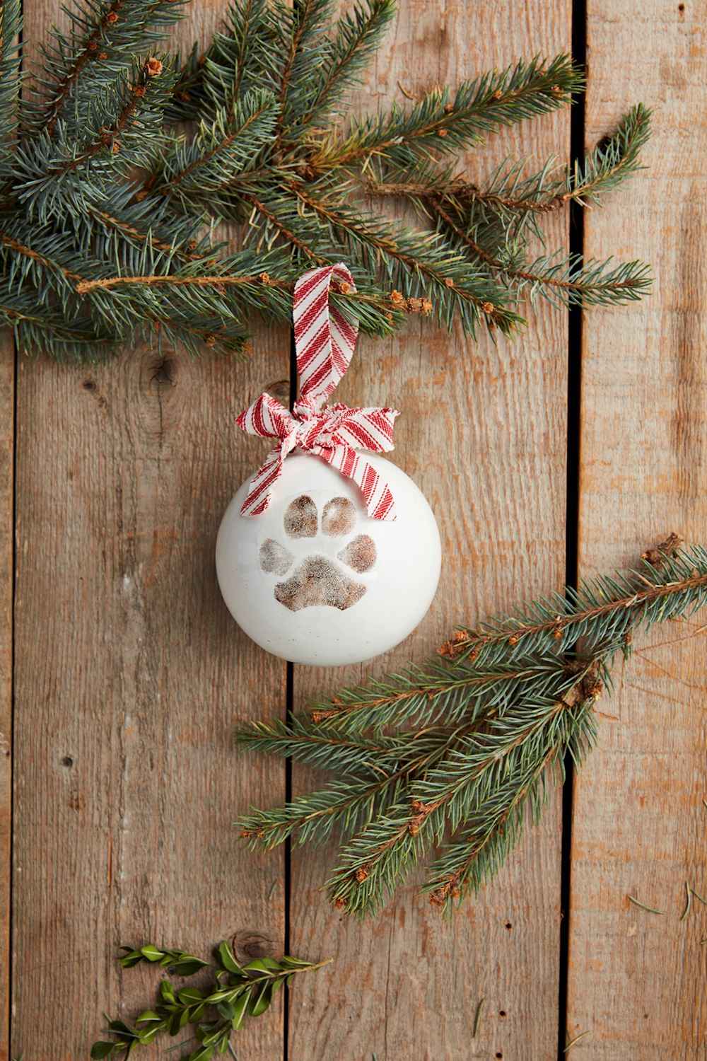 Paw Print Ceramic Ornament Kit