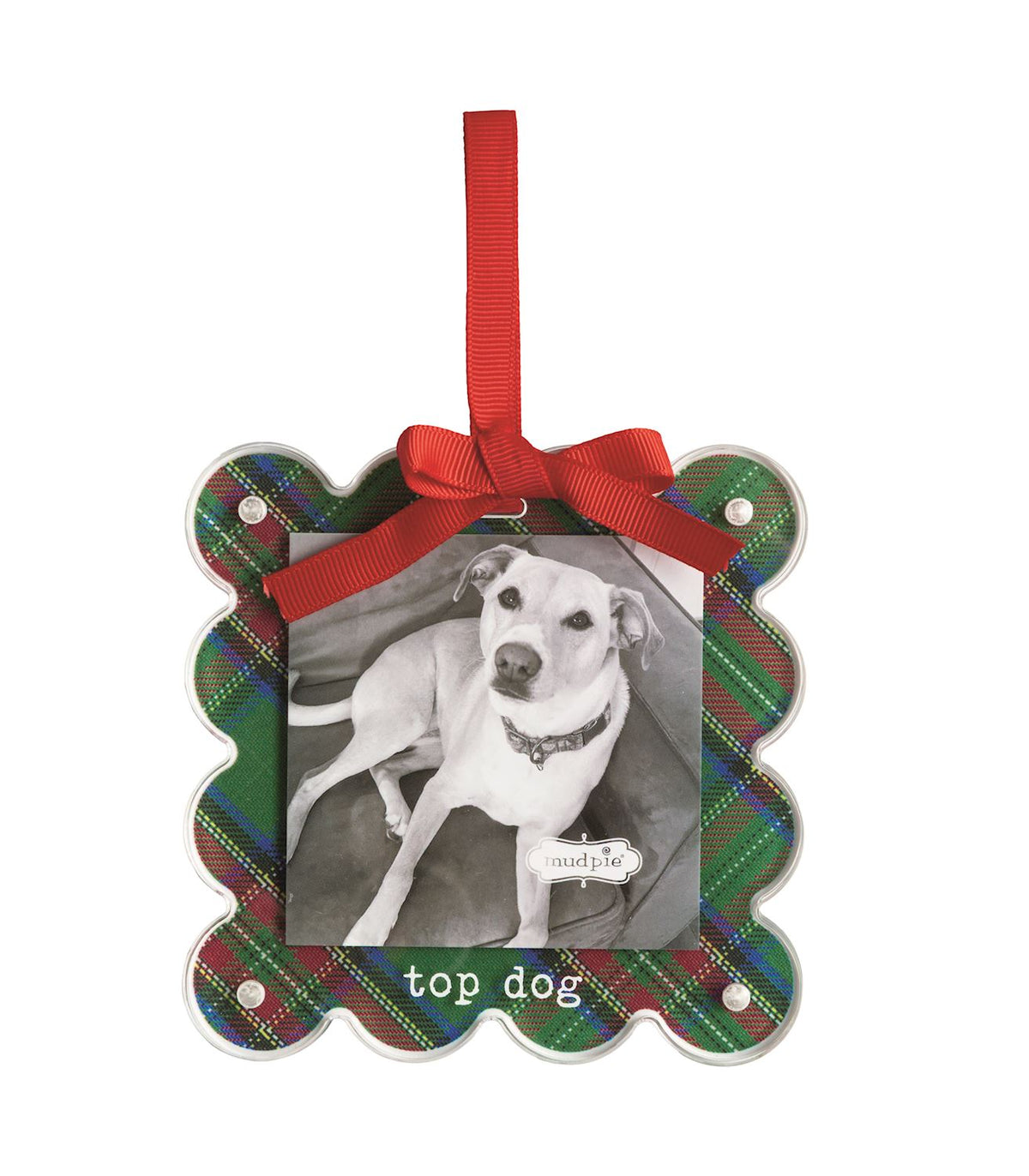 Top Dog Tartan Photo Ornament, A scalloped square acrylic ornament printed in green and navy tartan, holding a black and white photo of a dog behind a magnetic front, lettered top dog, with a red ribbon bow and loop.