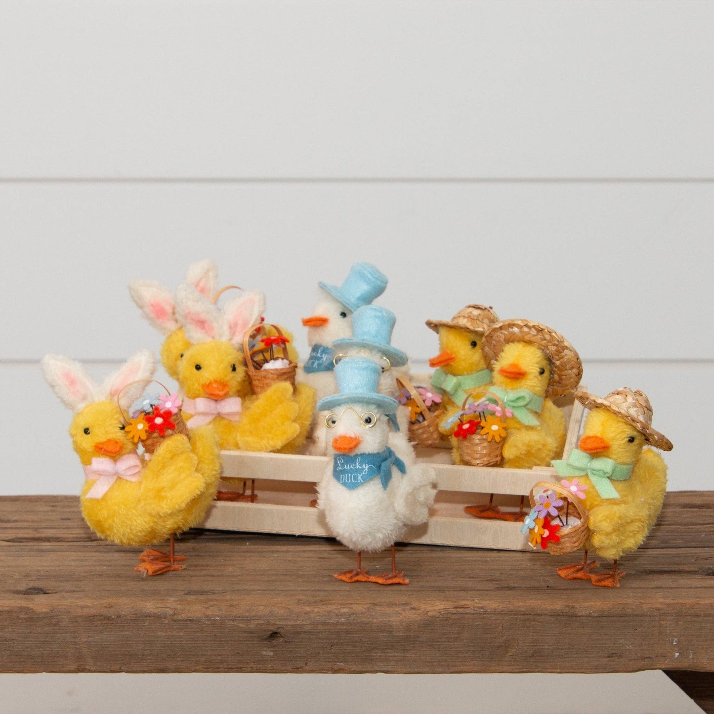 Springtime Ducks