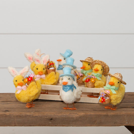 Springtime Ducks