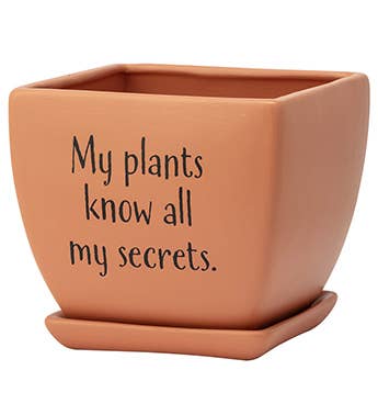 Funny Square Planters- assorted design-sold separately