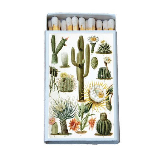 Matchbox • Cactus Variety1