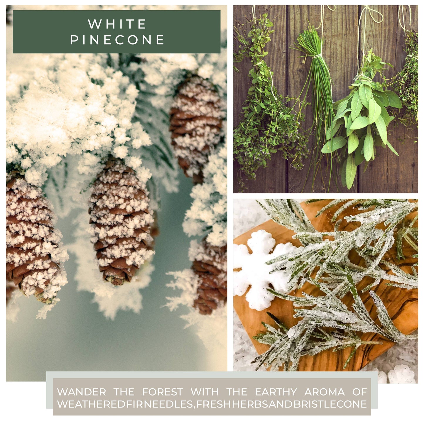 A Cheerful Giver - KOTL Papa Candle (34oz.) - White Pinecone