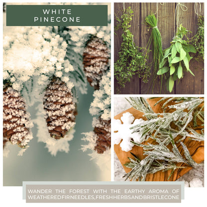 A Cheerful Giver - KOTL Papa Candle (34oz.) - White Pinecone