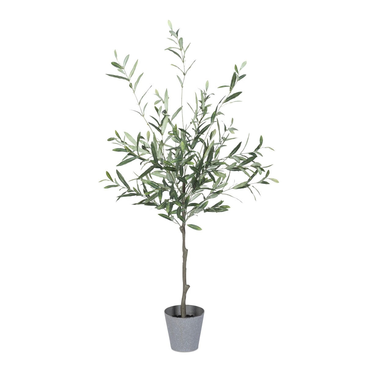 48"H Olive Tree with Plastic Pot