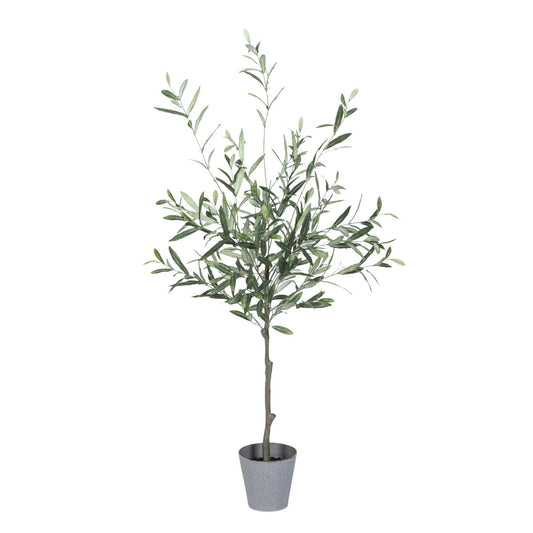 48"H Olive Tree with Plastic Pot