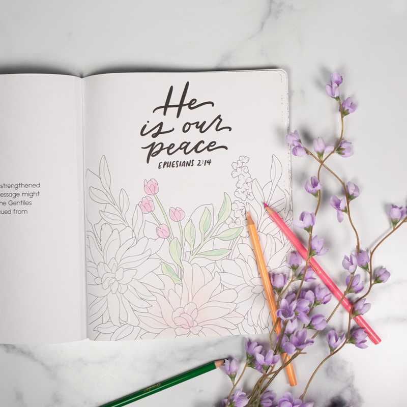Scriptures and Florals Coloring Book by Allison  Loveall