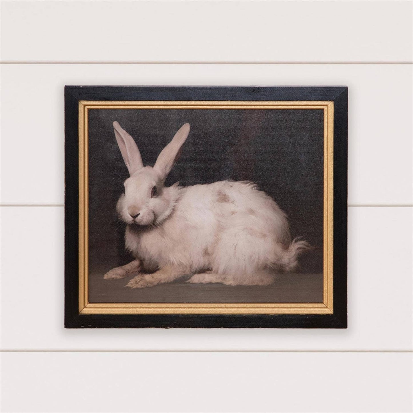 Framed Print - Handsome Rabbit