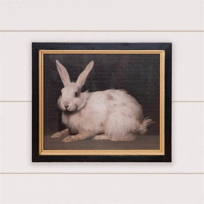 Framed Print - Handsome Rabbit