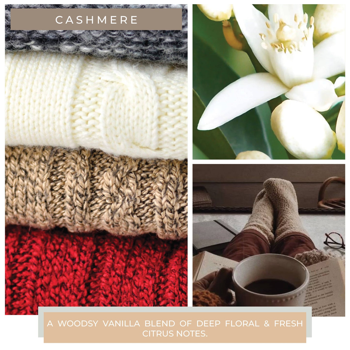 A Cheerful Giver - Melts - Cashmere