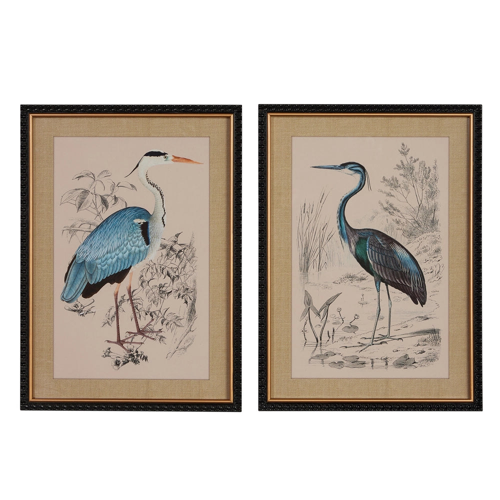 24" Heron Framed Print