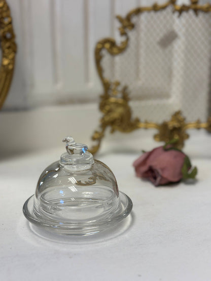 Glass Bird Cloche