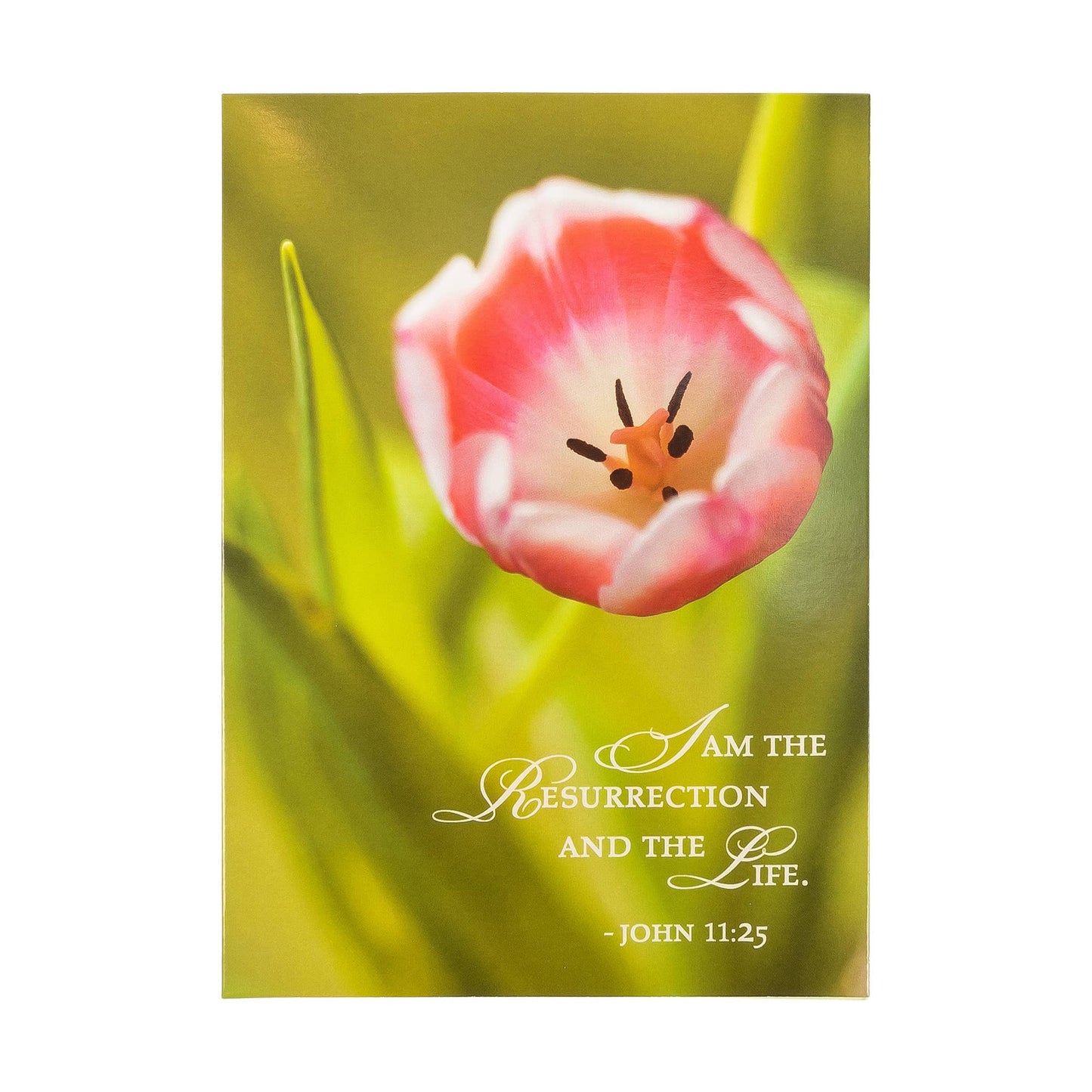 Divinity Boutique - Boxed Cards: Easter, Spring Flowers