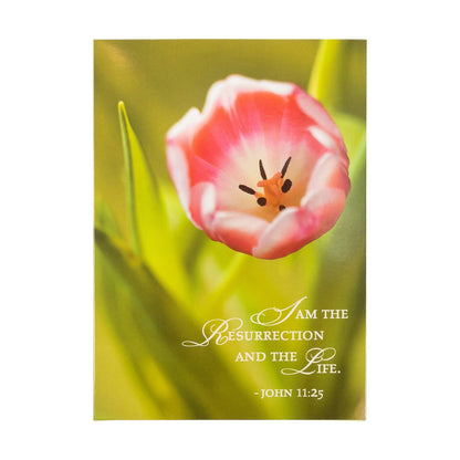 Divinity Boutique - Boxed Cards: Easter, Spring Flowers