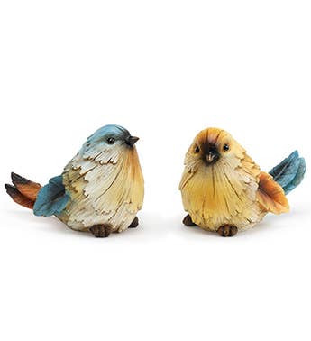 Birds