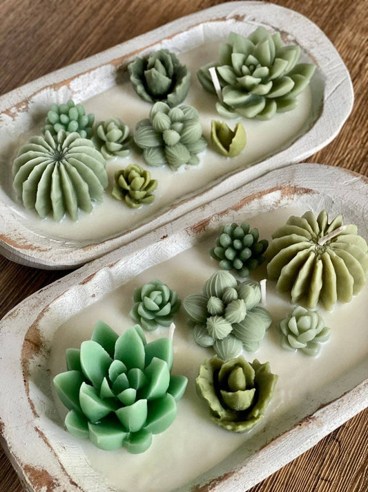 Vela perfumada de jardín de cactus en cuenco de madera