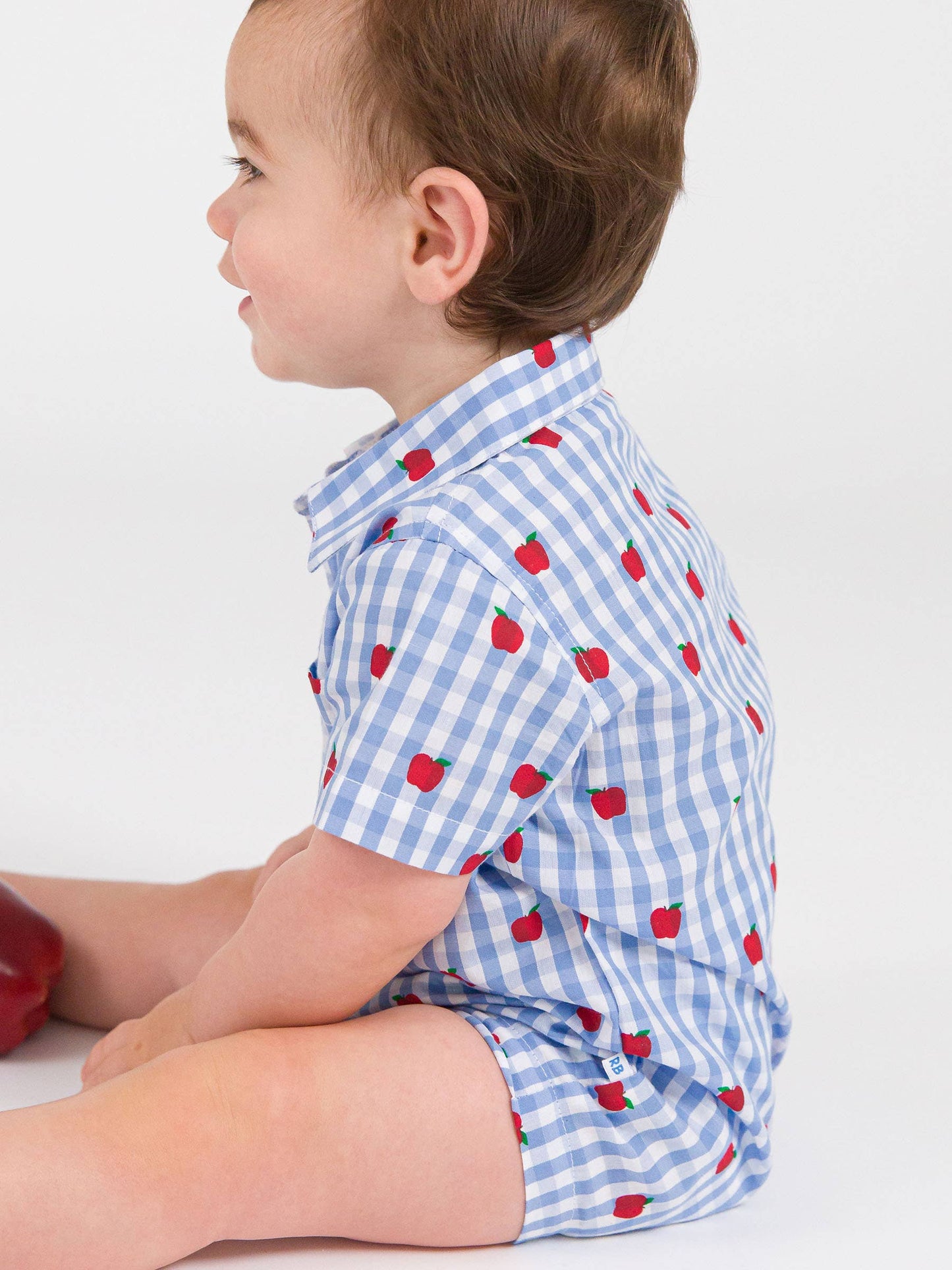 Baby Boys Apple Orchard Classic Gingham Button-Up Romper