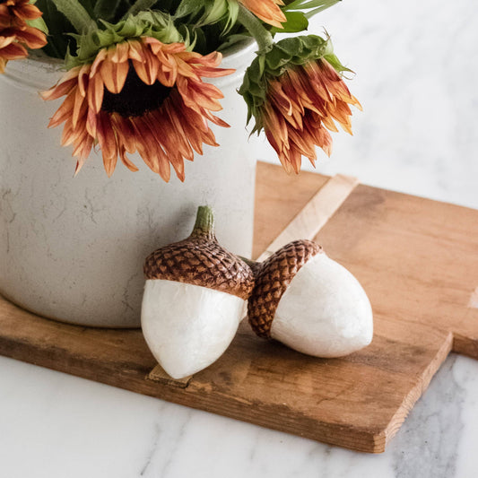 Capiz Acorn (White)