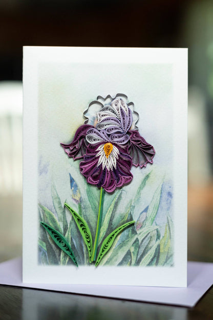 Iris Wishes
