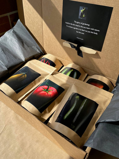 Seed Start | Pumpkin