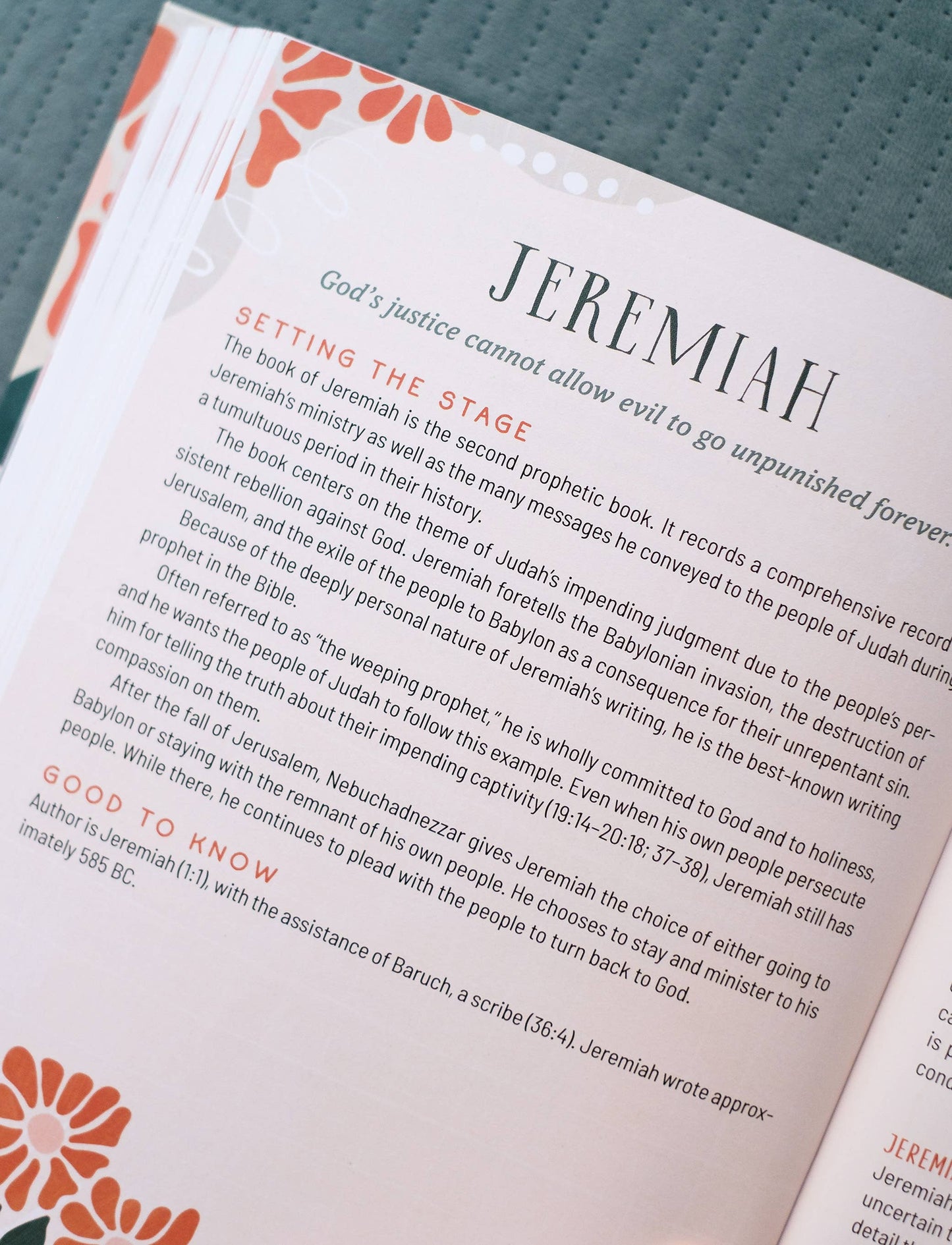 Taking Your Time through the Bible