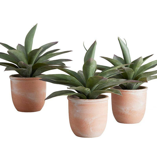 Artificial Plants