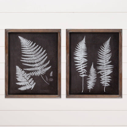 Framed Prints - Birds