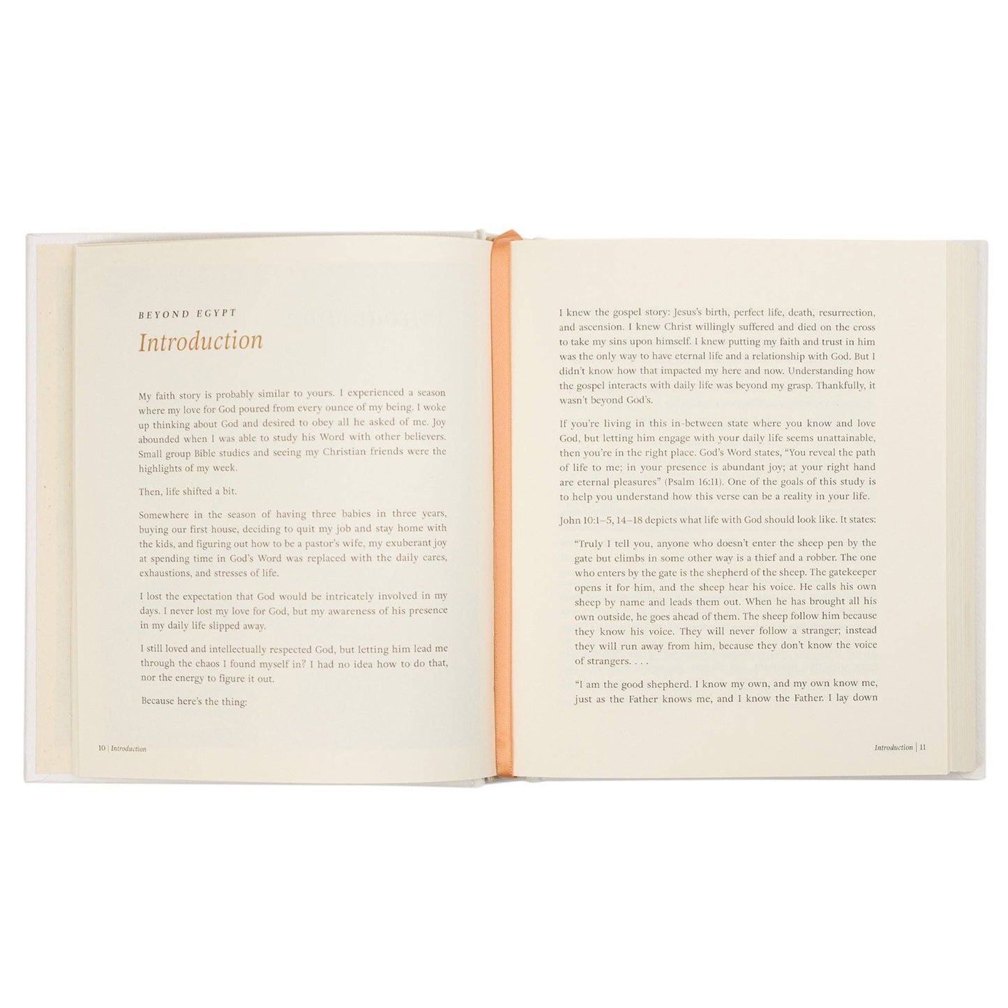 Bible Study: Beyond Egypt by Kari Minter