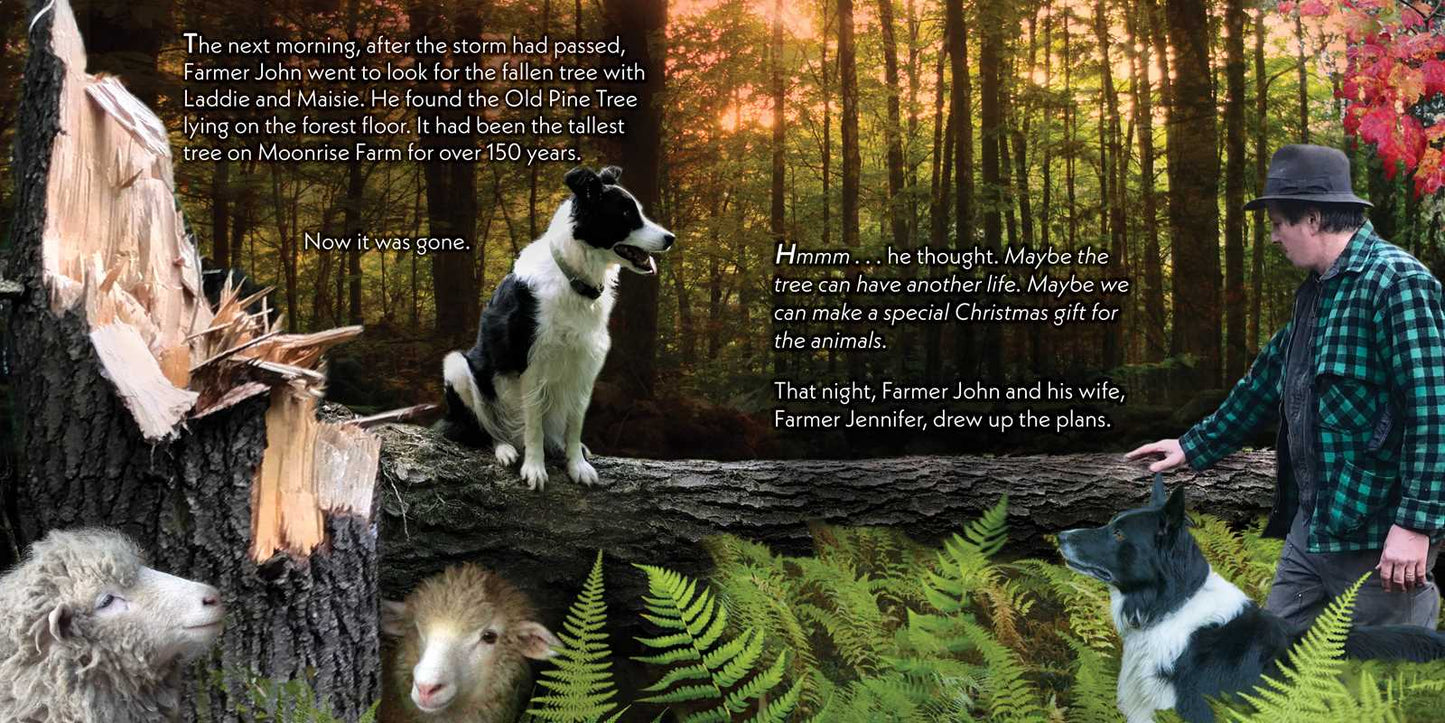 Christmas Barn by John Churchman