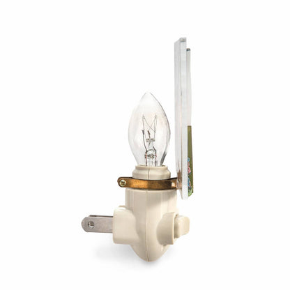 Hummingbird Night Light