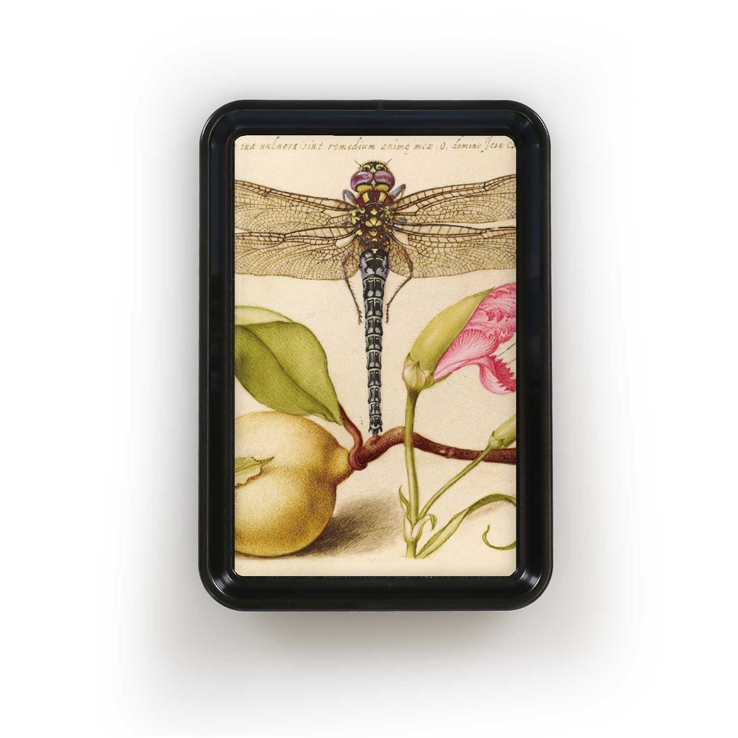 Dragonfly Insect Beautiful Classic Tray