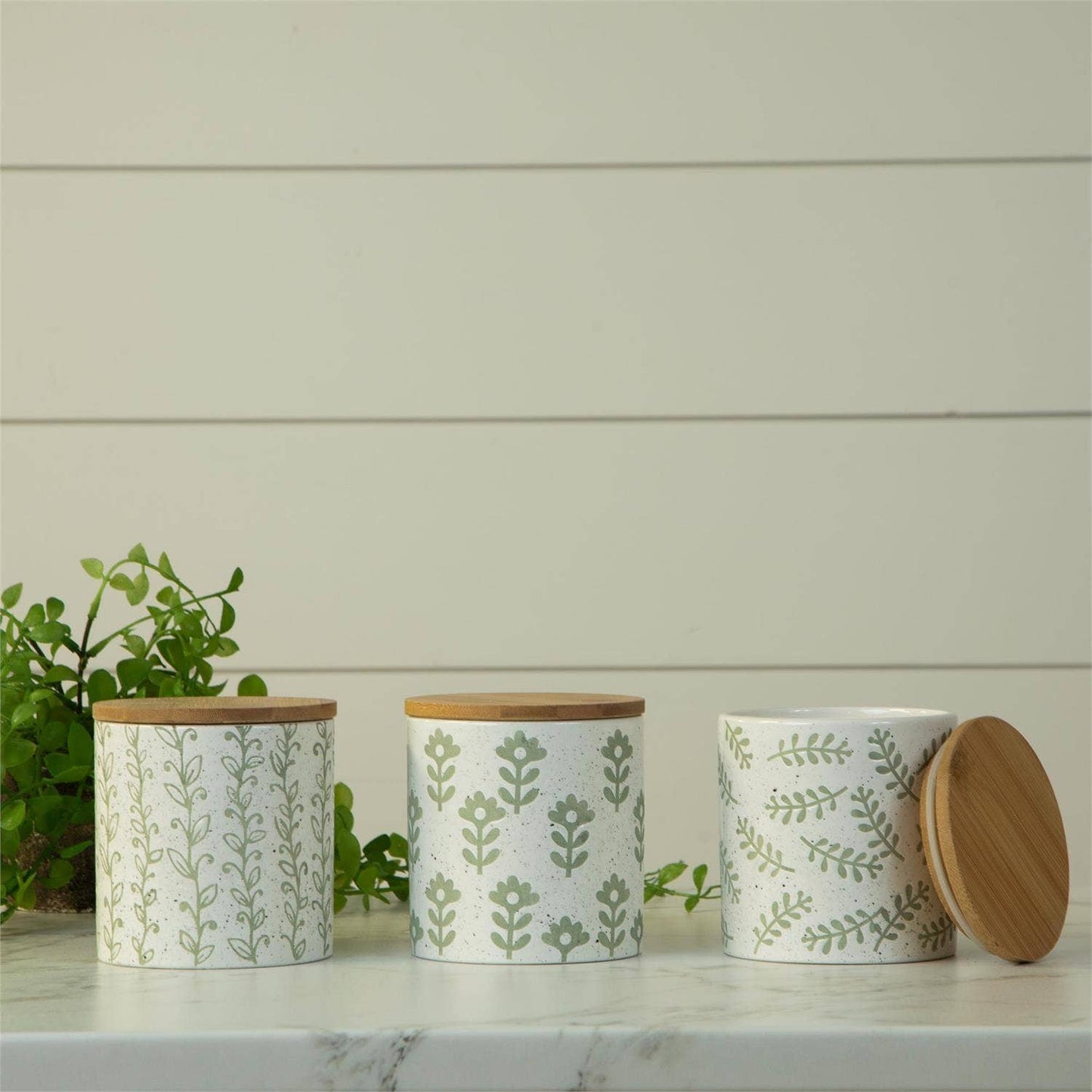 Leafy Green Dolomite Canisters -assorted-sold seperately