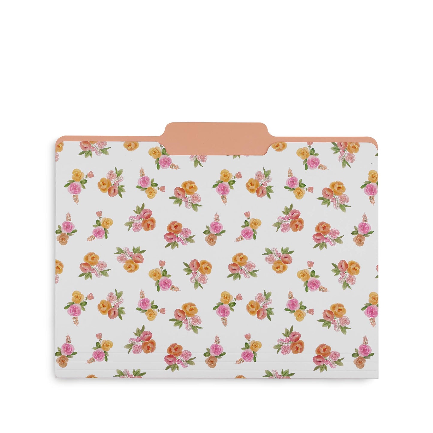 File Folders, Full Posey/Scattered Posey/Bold Floral-Set of 9