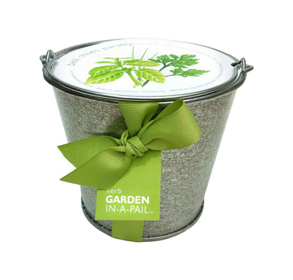 Garden in a Pail | Herbs |