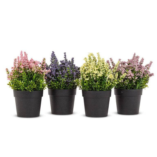 Abbott - Lavender Plant Pot-Assorted-sold separately