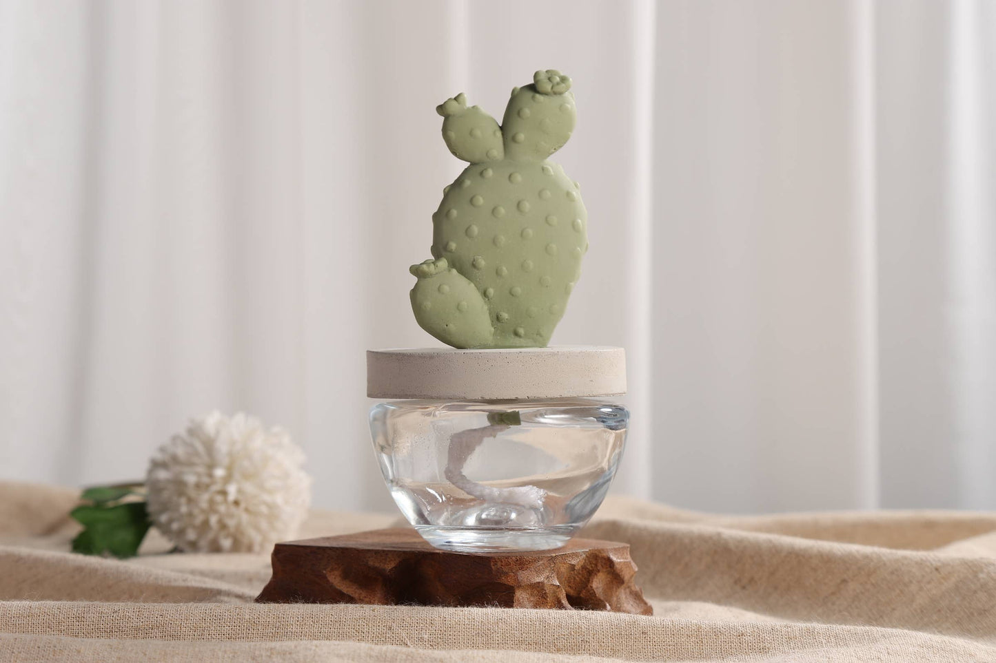 Bunny Ear Cactus ceramic diffuser gift set - 100ml