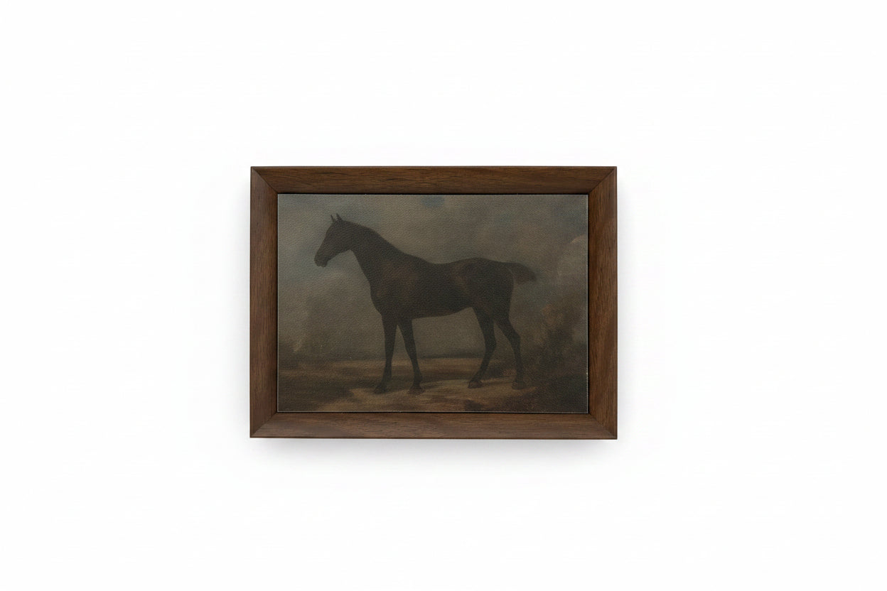 Canvas Art Framed - Horse 8 x 6