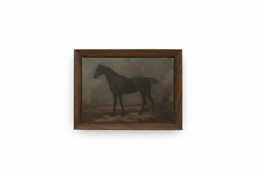 Canvas Art Framed - Horse 8 x 6
