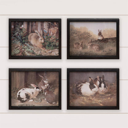 Framed Prints - Antique Rabbits-Set of 4