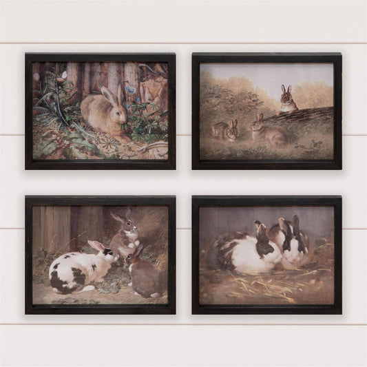 Framed Prints - Antique Rabbits-Set of 4