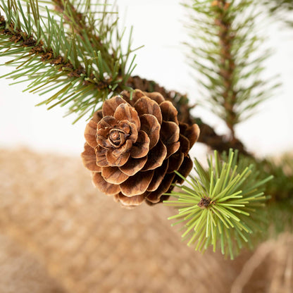 Pine Tree in Burlap Pot, 18"