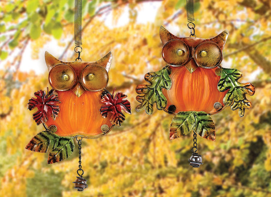 Owl Bouncy 2 Asst