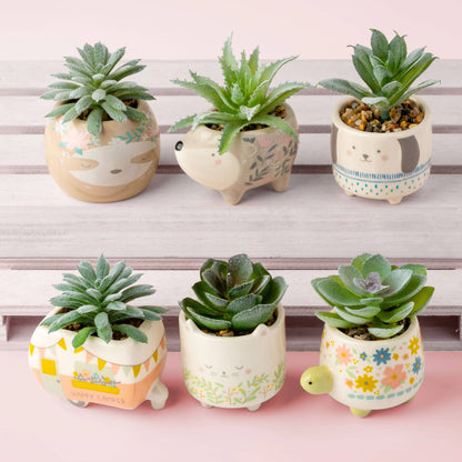 Shaped Succulent Pot