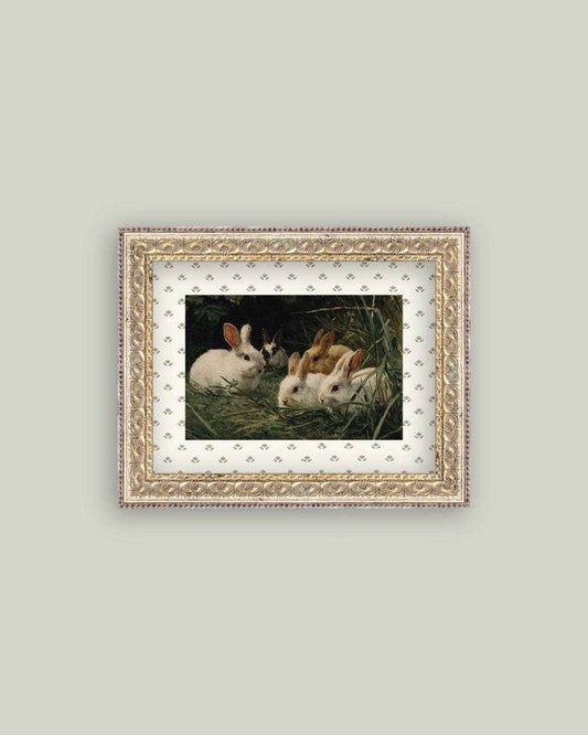 Bunnies in the Grass
